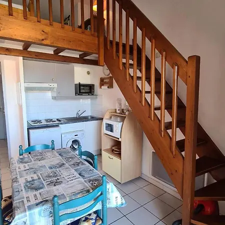 2 Pieces Avec Climatisation Et Loggia A Argeles-sur-mer, Proche Commerces Et - Fr-1-388-87
