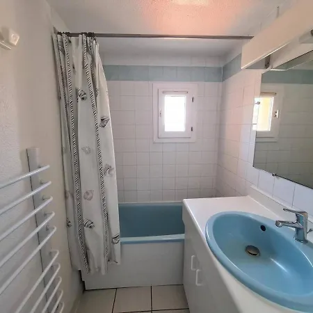 2 Pieces Avec Climatisation Et Loggia A Argeles-sur-mer, Proche Commerces Et - Fr-1-388-87 Appartamento Argelès-sur-Mer